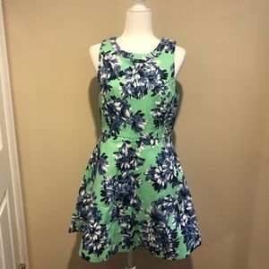 J.Crew “A” Flowered Dress
